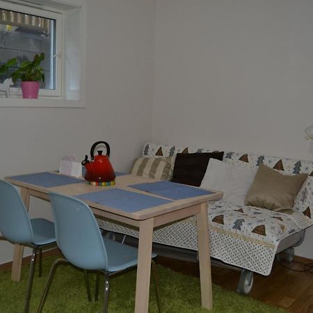 Totally Independent Apartment Near Ntnu,Lerkendal And Center تروندهايم المظهر الخارجي الصورة